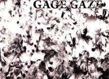 Gage Gaze catalog essay by Mary Drach McInnes