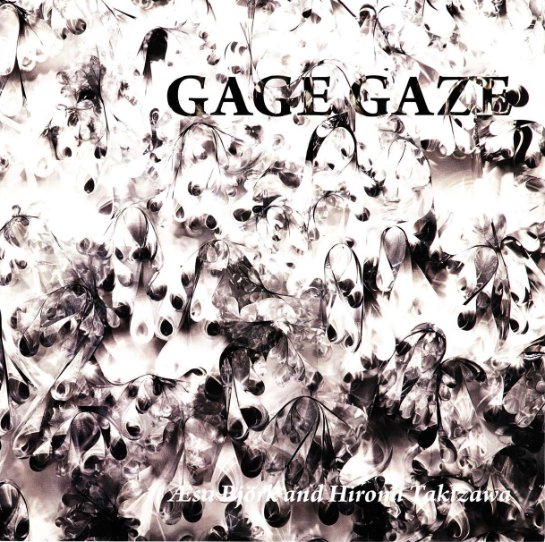 Gage Gaze catalog essay by Mary Drach McInnes